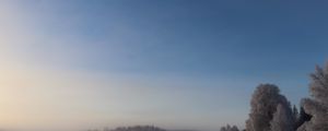 Preview wallpaper field, trees, forest, fog, snow, winter, sky, nature