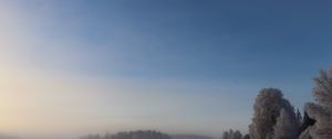 Preview wallpaper field, trees, forest, fog, snow, winter, sky, nature