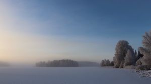 Preview wallpaper field, trees, forest, fog, snow, winter, sky, nature