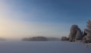 Preview wallpaper field, trees, forest, fog, snow, winter, sky, nature
