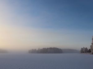 Preview wallpaper field, trees, forest, fog, snow, winter, sky, nature