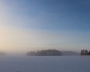 Preview wallpaper field, trees, forest, fog, snow, winter, sky, nature