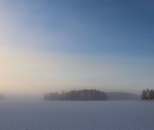 Preview wallpaper field, trees, forest, fog, snow, winter, sky, nature