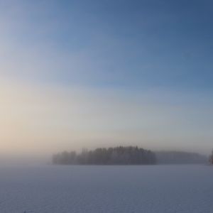 Preview wallpaper field, trees, forest, fog, snow, winter, sky, nature