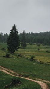 Preview wallpaper field, trees, forest, fence, road, landscape