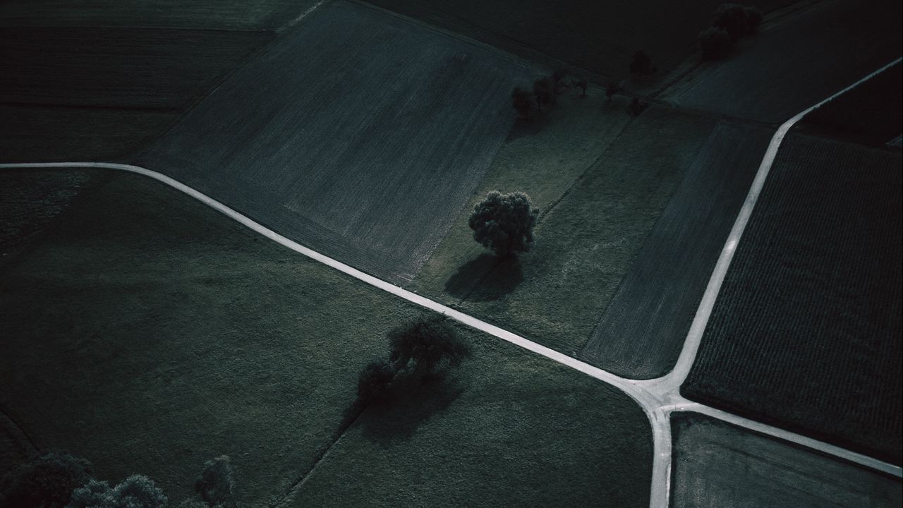 Wallpaper field, trees, grass, aerial view, dark