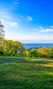 Preview wallpaper field, trees, grass, sky, forest, nature