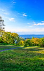 Preview wallpaper field, trees, grass, sky, forest, nature