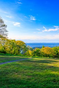 Preview wallpaper field, trees, grass, sky, forest, nature