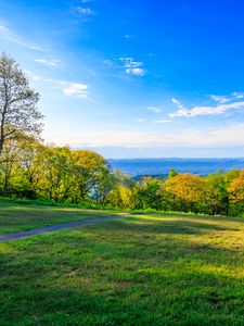 Preview wallpaper field, trees, grass, sky, forest, nature
