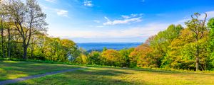 Preview wallpaper field, trees, grass, sky, forest, nature