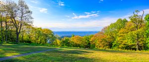 Preview wallpaper field, trees, grass, sky, forest, nature