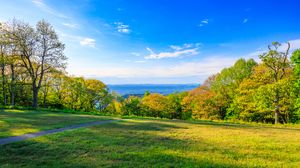 Preview wallpaper field, trees, grass, sky, forest, nature