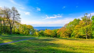 Preview wallpaper field, trees, grass, sky, forest, nature