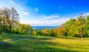 Preview wallpaper field, trees, grass, sky, forest, nature