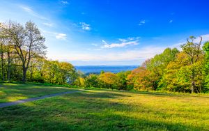 Preview wallpaper field, trees, grass, sky, forest, nature
