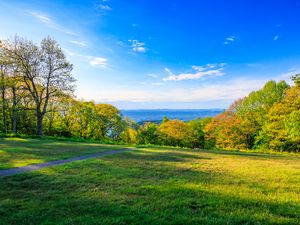 Preview wallpaper field, trees, grass, sky, forest, nature