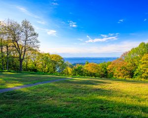Preview wallpaper field, trees, grass, sky, forest, nature