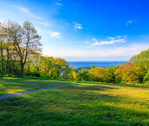 Preview wallpaper field, trees, grass, sky, forest, nature