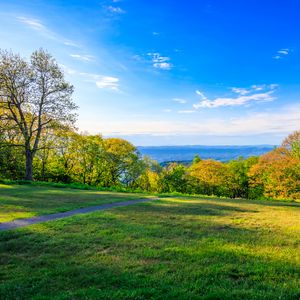 Preview wallpaper field, trees, grass, sky, forest, nature