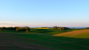 Preview wallpaper field, trees, grass, path