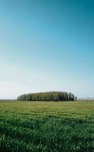 Preview wallpaper field, trees, grass, landscape, green