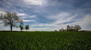 Preview wallpaper field, trees, grass, sky, nature, landscape