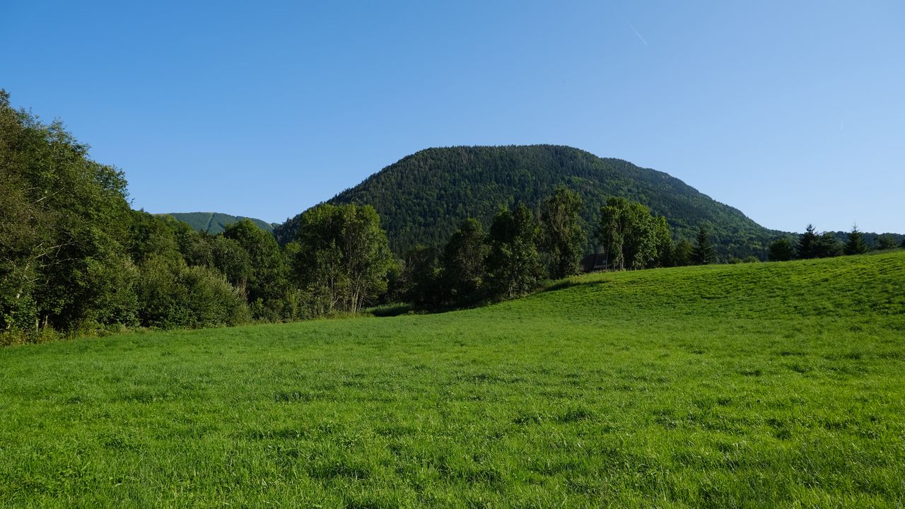 Wallpaper field, trees, hills, nature, landscape