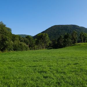 Preview wallpaper field, trees, hills, nature, landscape