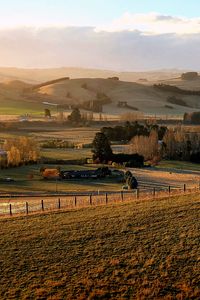 Preview wallpaper field, trees, hills, landscape, nature