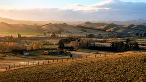 Preview wallpaper field, trees, hills, landscape, nature