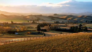 Preview wallpaper field, trees, hills, landscape, nature