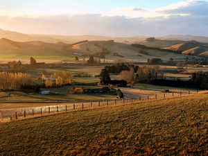 Preview wallpaper field, trees, hills, landscape, nature