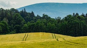 Preview wallpaper field, trees, mountain