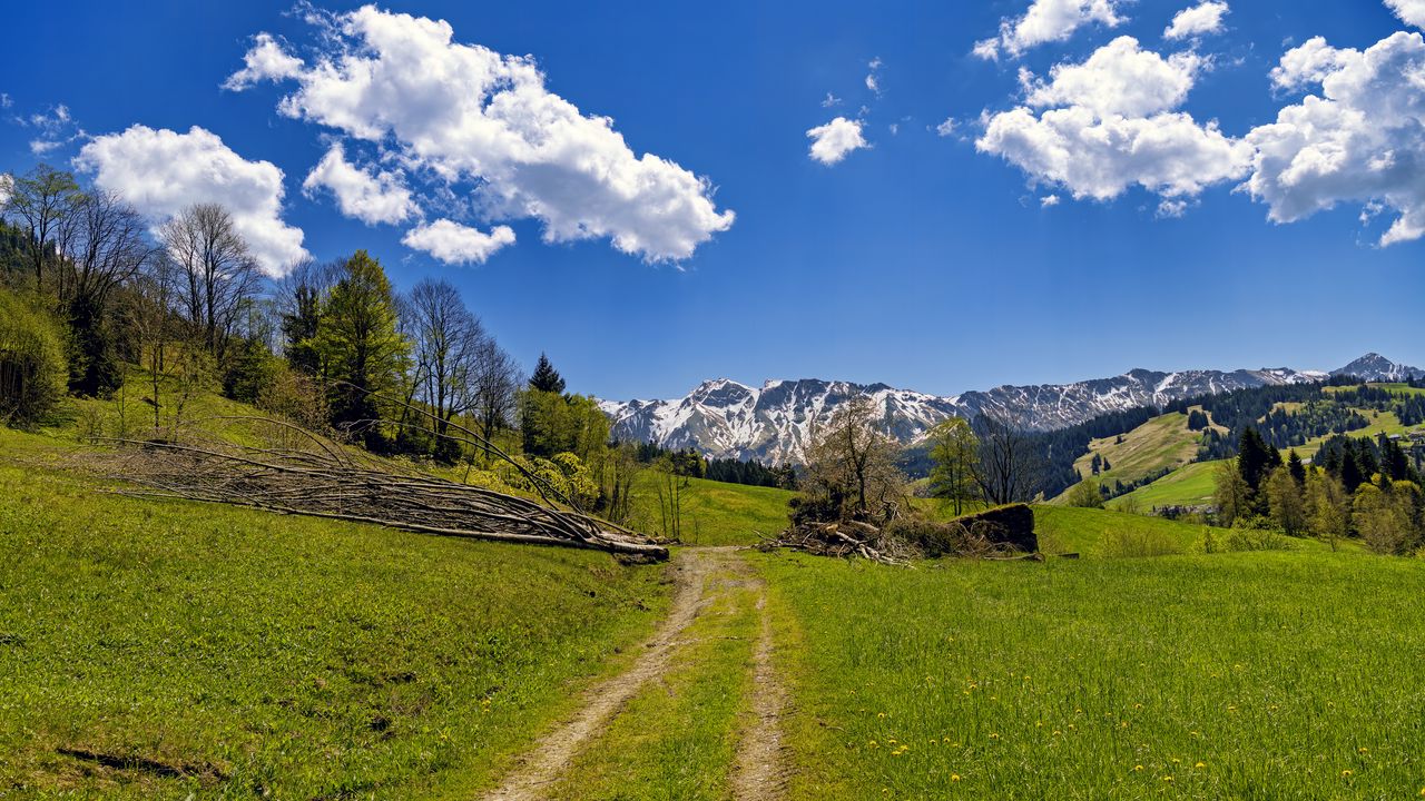Wallpaper field, trees, mountains, clouds, sky, nature