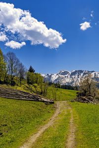 Preview wallpaper field, trees, mountains, clouds, sky, nature