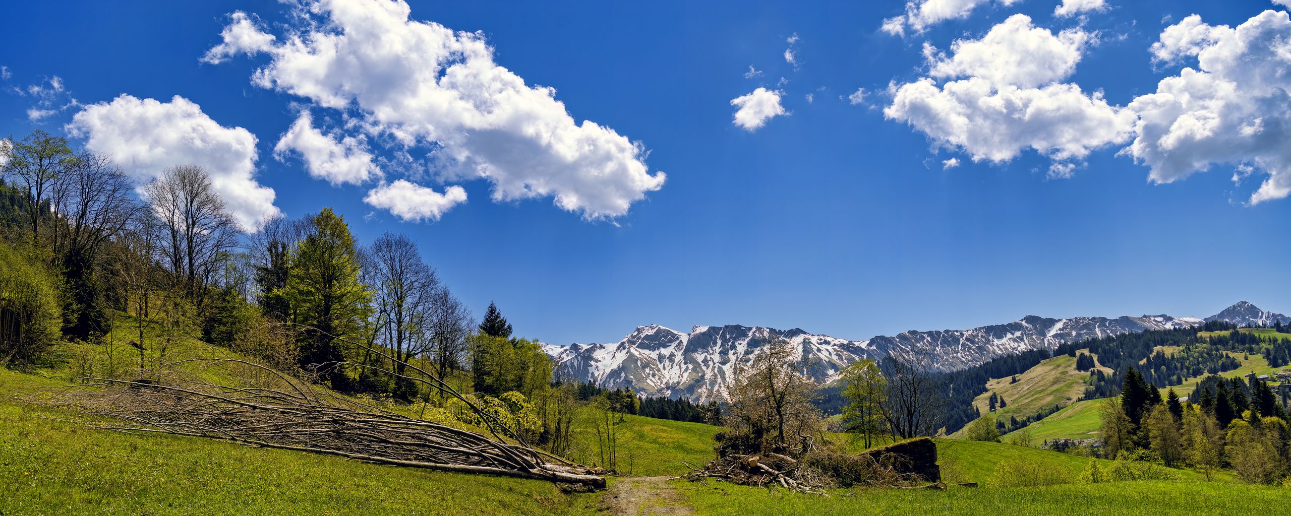 2560x1024 Wallpaper field, trees, mountains, clouds, sky, nature