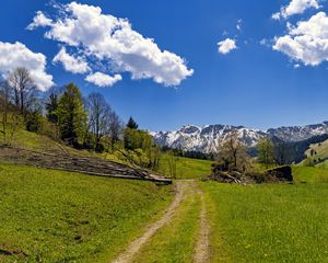 Preview wallpaper field, trees, mountains, clouds, sky, nature