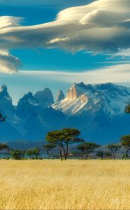 Preview wallpaper field, trees, mountains, savannah, landscape