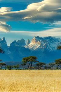 Preview wallpaper field, trees, mountains, savannah, landscape