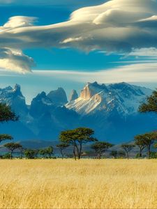 Preview wallpaper field, trees, mountains, savannah, landscape