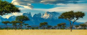 Preview wallpaper field, trees, mountains, savannah, landscape