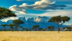 Preview wallpaper field, trees, mountains, savannah, landscape