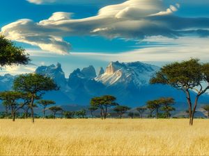 Preview wallpaper field, trees, mountains, savannah, landscape