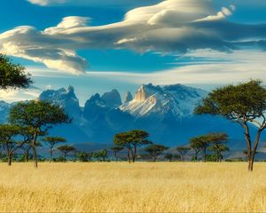 Preview wallpaper field, trees, mountains, savannah, landscape