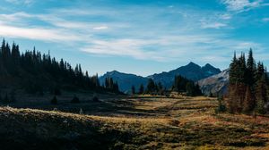 Preview wallpaper field, trees, mountains, relief, landscape