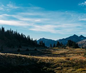 Preview wallpaper field, trees, mountains, relief, landscape