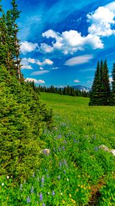 Preview wallpaper field, trees, mountains, clouds, landscape, nature