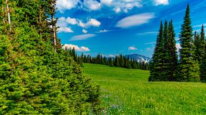 Preview wallpaper field, trees, mountains, clouds, landscape, nature