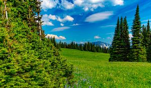 Preview wallpaper field, trees, mountains, clouds, landscape, nature